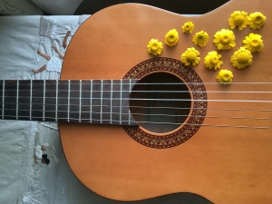 Yellow daisies on guitar