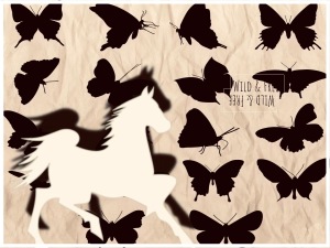 white horse with shadow against background of different types of black butterflies on crumpled ground, and text